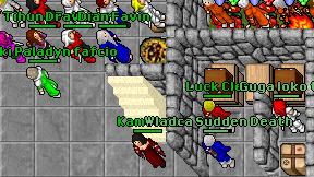 Kamenea on screen