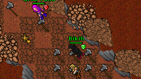 Bikih on screen