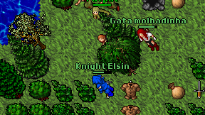 Knight Elsin on screen