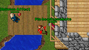Pin head cenobate on screen