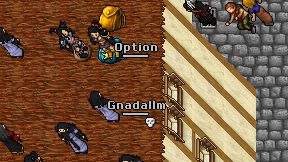 Gnadallm on screen