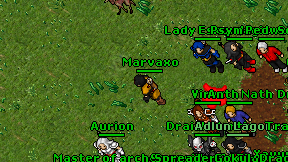 Marvaxo on screen
