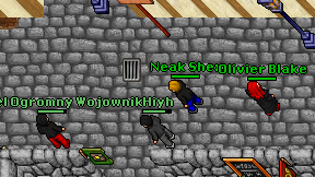 Executivo on screen
