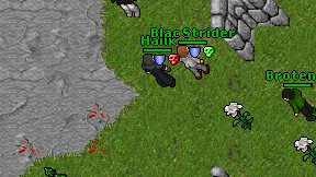 Hallk on screen