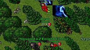 Bevl on screen