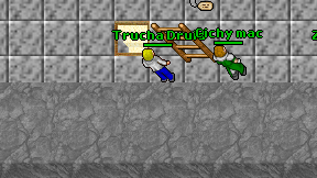 Trucha Druid on screen