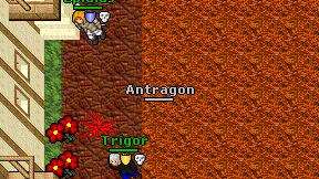Antragon on screen