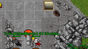 Piter Knight Of Obsidia on screen