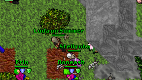 Luda on Summer on screen