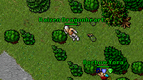 Raizen Dragonheart on screen