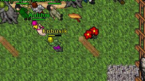 Kobusik on screen