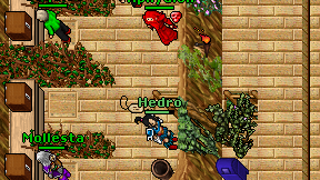 Hedro on screen