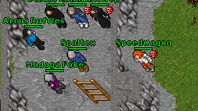 Spaltex on screen