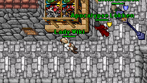 Lady Wiki on screen