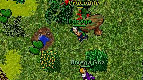Edrage on screen