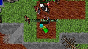Tazz the Cond on screen