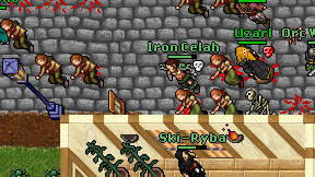 Iron Celah on screen