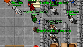 Varin Paladin on screen