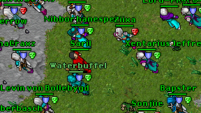 Saril on screen
