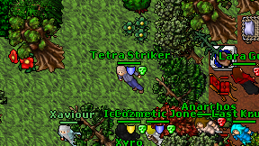 Tetra Striker on screen