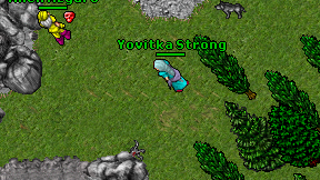 Yovitka Strong on screen