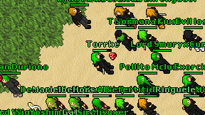 Torrke on screen