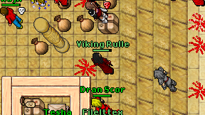 Viking Rulle on screen