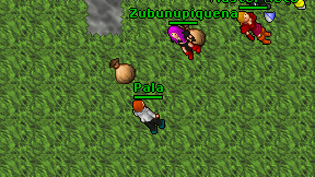 Pala on screen