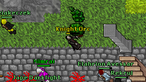 Knight Orc on screen