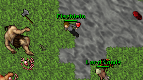 Fischlein on screen