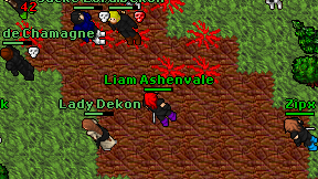 Liam Ashenvale on screen