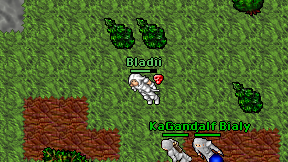 Bladii on screen