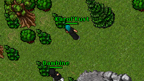 Karol'Kust on screen