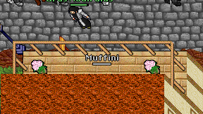 Muffini on screen