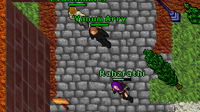 Vanum Arry on screen
