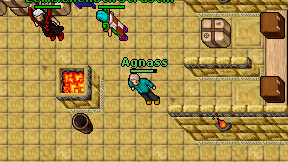Agnass on screen