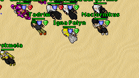 Igna Palyn on screen