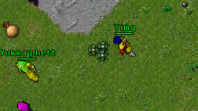 Timq on screen