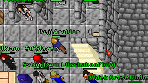 Reji Araldor on screen