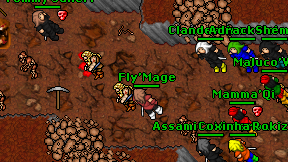 Fly'Mage on screen
