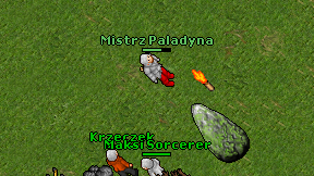 Mistrz Paladyna on screen
