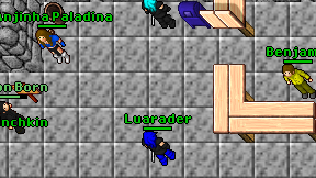 Luarader on screen
