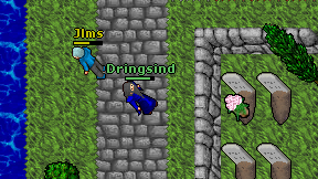 Dringsind on screen