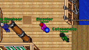 Elsavior on screen