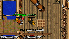 Keddy on screen