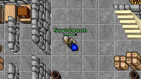 Szyldwach on screen