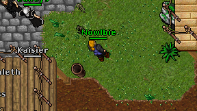 Nowlbie on screen