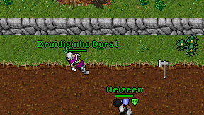 Druidisinho Durst on screen
