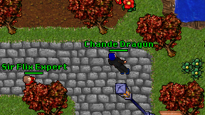 Chande Dragun on screen