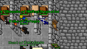 Katus Magnatus on screen